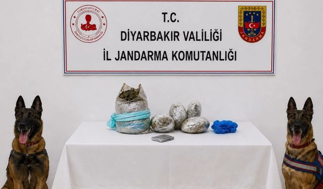 Diyarbakır’da Büyük Kenevir Operasyonu: 217 Bin 608 Kök Kenevir İmha Edildi