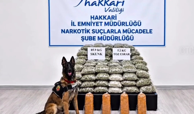 Yüksekova’da Arı Kovanlarına Gizlenmiş 91,1 Kilo Uyuşturucu Ele Geçirildi