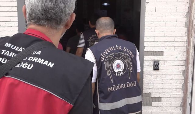 81 İlde Gıda Güvenliği Operasyonu: 61 Milyon TL’lik Sahte ve Tağşiş Ürün Ele Geçirildi