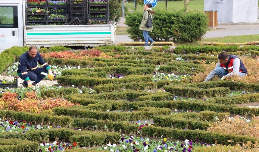 Yalova’nın parkları çiçek açıyor