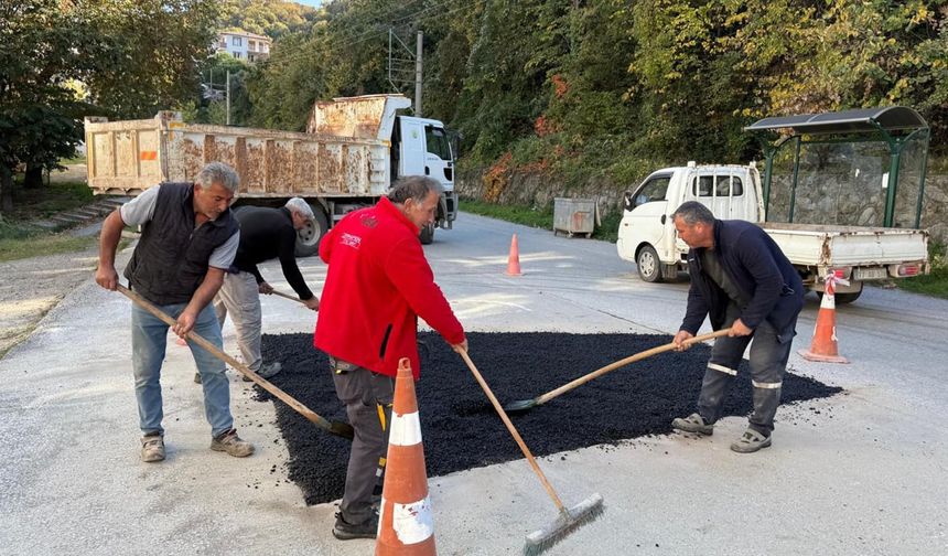 Çınarcık’ta hummalı asfalt çalışması