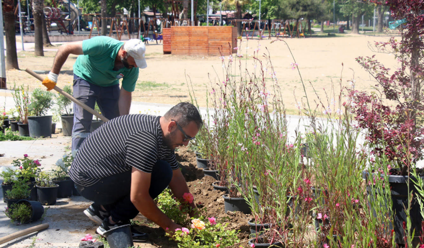 Yalova’da Eş Zamanlı Altyapı ve Peyzaj Atağı
