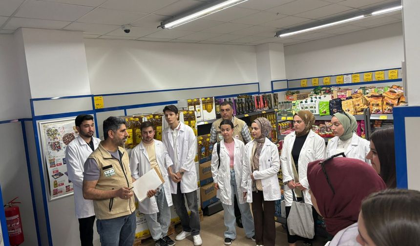 Armutlu MYO Öğrencileri Sahada