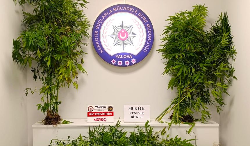Yalova’da Uyuşturucu Operasyonu: 17 Şüpheli Yakalandı, 9’u Tutuklandı