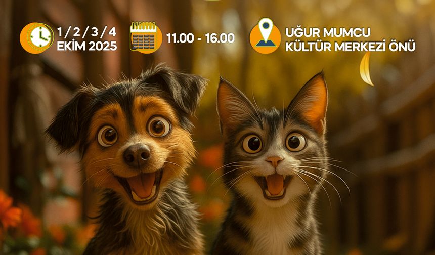 Yalova Belediyesi’nden Sokak Hayvanlarına Destek: “Askıda Mama” Etkinliği