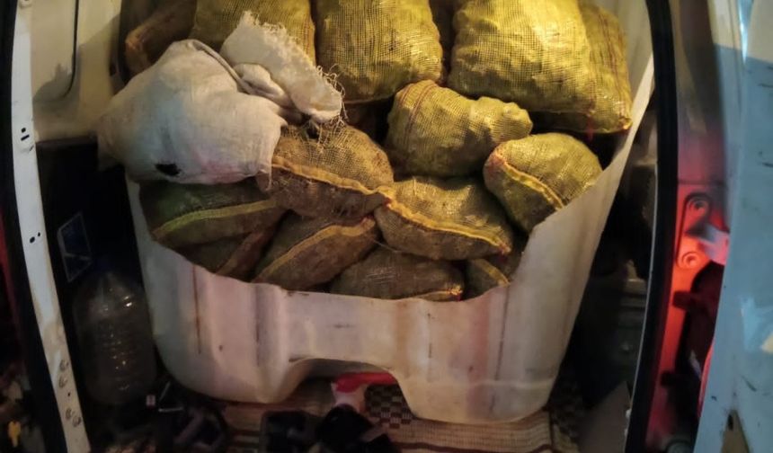 Yalova Armutlu’da Kaçak Midye Operasyonu: 500 Kilo Midye Ele Geçirildi