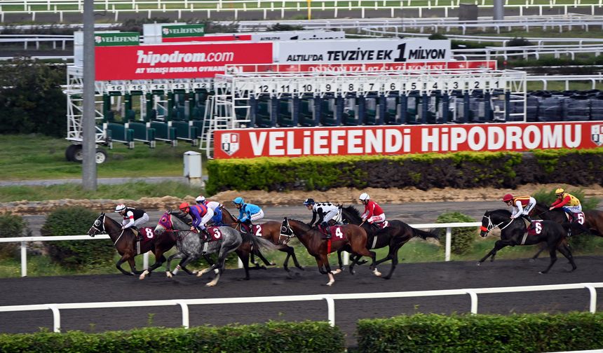 Yürüyen Köşk Koşusu 9 Kasım’da Veliefendi Hipodromu’nda Düzenlenecek