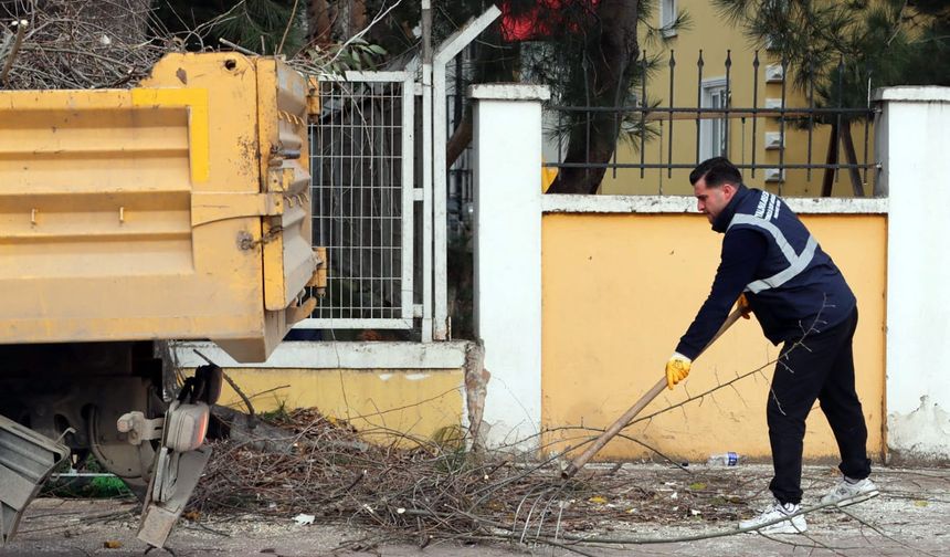 Yalova Belediyesi’nden Kent Genelinde Budama Çalışması