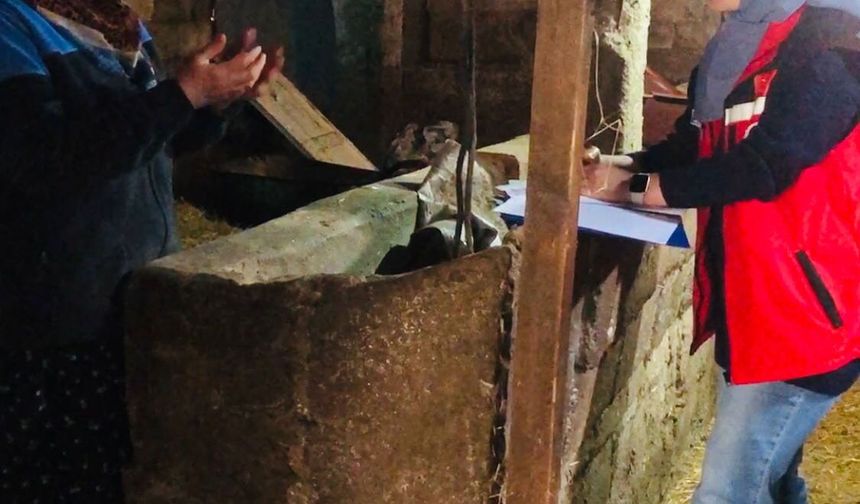 Yalova’da Gebe İnek Projesi Başladı