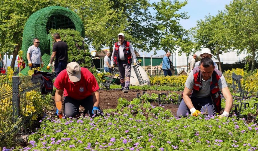 Yalova’da Yeşil Alanlara Yıl Boyu Bakım: 265 Bin Çiçek Dikildi