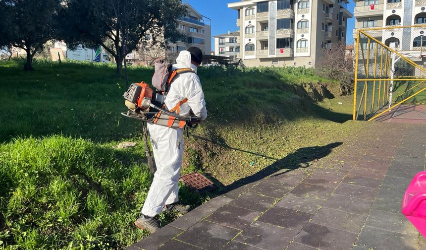 Altınova Bahara Hazırlanıyor: İlçede Kapsamlı Çalışmalar Başladı