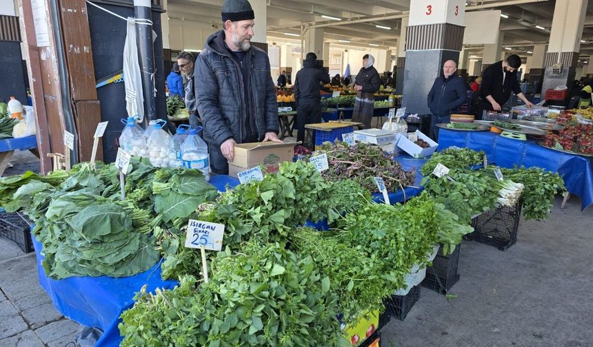 Yalova’da Örtüaltı Sebze Üretim Alanlarında Entegre Mücadele Çalışmaları Sürüyor