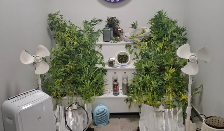 Bursa’da Narkotik Operasyonu: Aranan Hükümlü Yakalandı, Uyuşturucu Düzeneği Ele Geçirildi