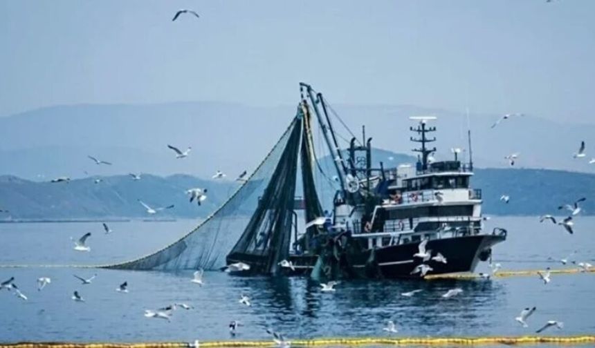 Balıkçılıkta Av Sezonu Yarın Sona Eriyor: Büyük Tekneler İçin Yasak Başlıyor