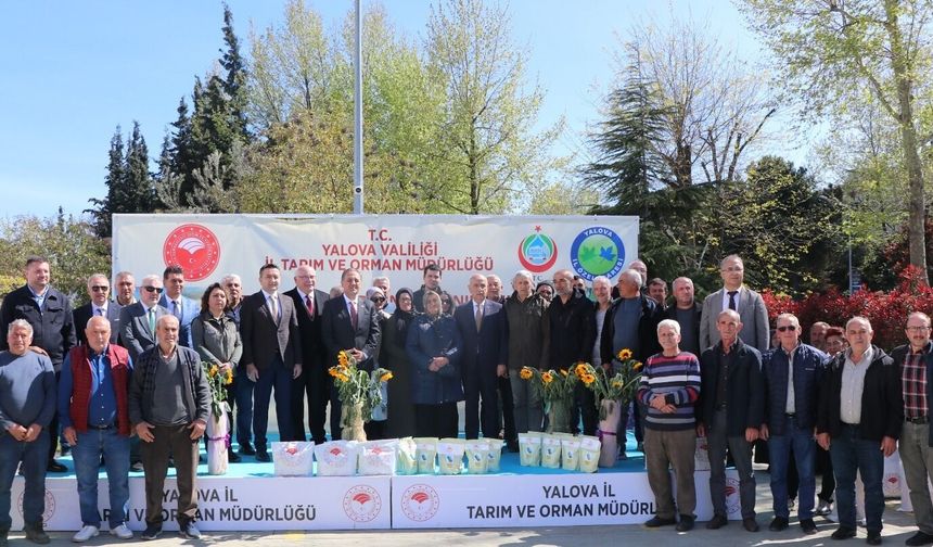 Yalova’da Çiftçilere Fasulye ve Ayçiçeği Tohumu Desteği