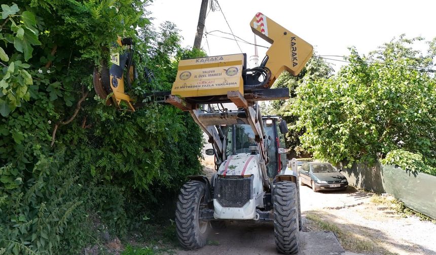 Yalova’da Köy Yollarında Budama ve Temizlik Seferberliği: Trafik Güvenliği Artırılıyor