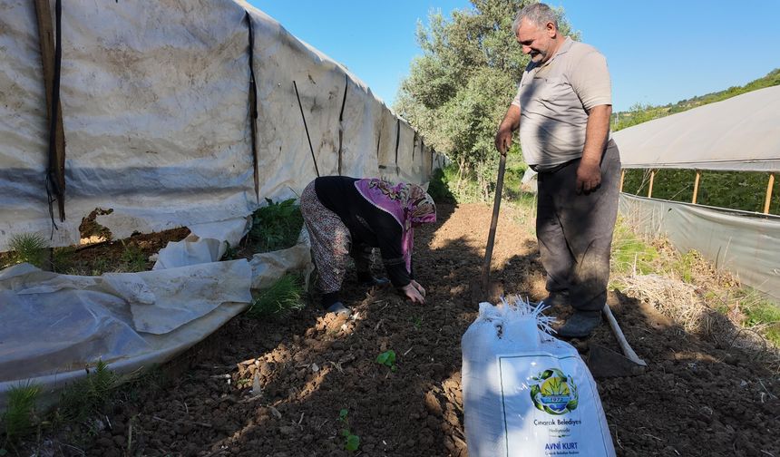 Çınarcık Belediyesi’nden Çiftçilere Ücretsiz Organik Gübre Desteği