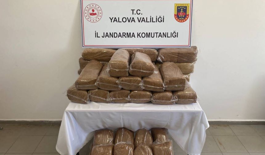 Yalova'da Kaçak Tütün Operasyonu: İşletmede 160 Kilogram Bandrolsüz Tütün Ele Geçirildi
