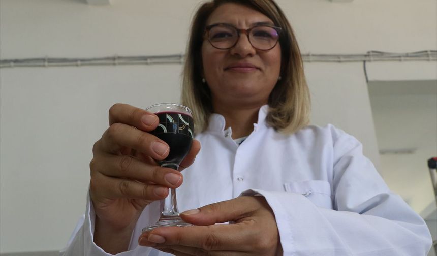 Coğrafi İşaretli Yalova Aronyası Dünya Pazarına Hazırlanıyor