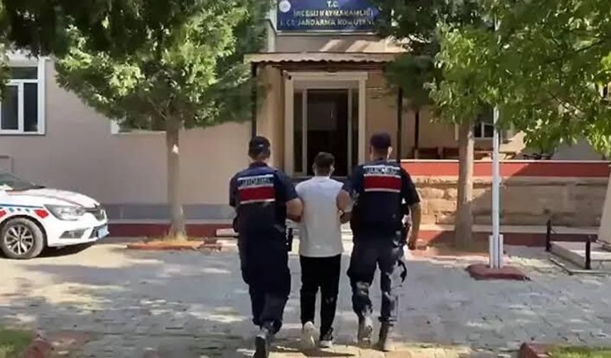 Jandarmadan Nefes Kesen Operasyon: Milyonlarca Kök Kenevir İmha Edildi