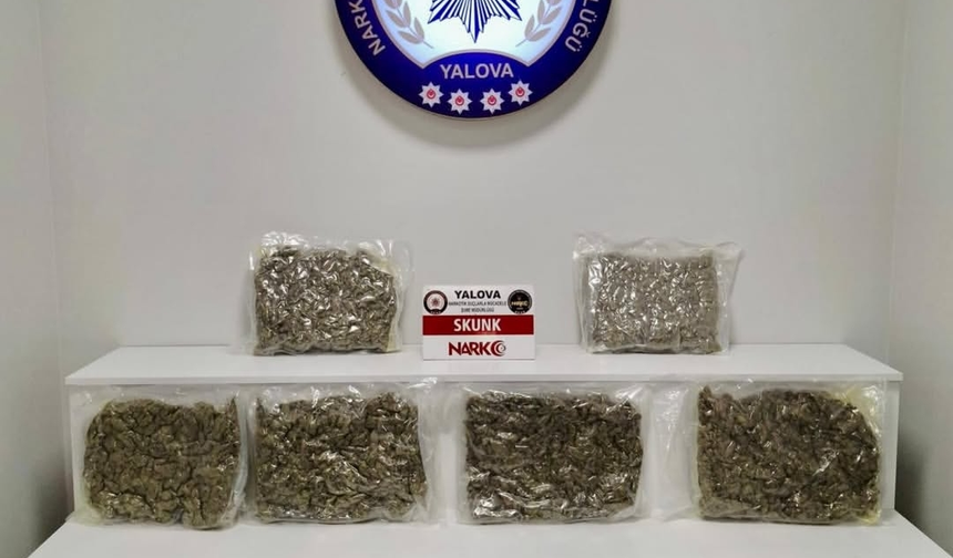 Yalova’da Narkotik Operasyonu: 11 Kilo Uyuşturucu Ele Geçirildi, 2 Şüpheli Tutuklandı