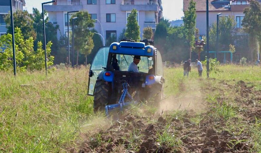 Yalova'da Çalışmalar Sürüyor: Millet Bahçesi ve Pazar Yerinde Düzenleme