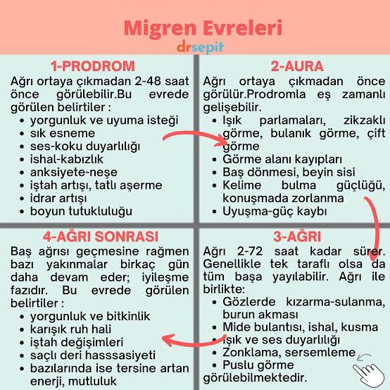 Migren evreleri