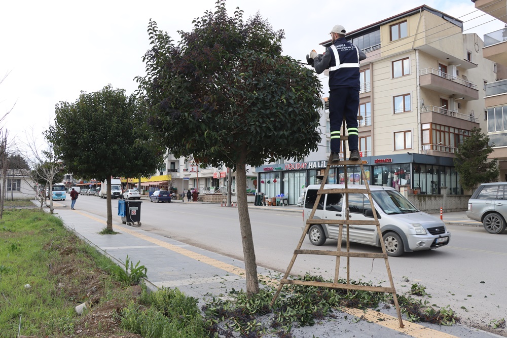 Yalova Belediyesi Çalışmalara Devam Ediyor (3)