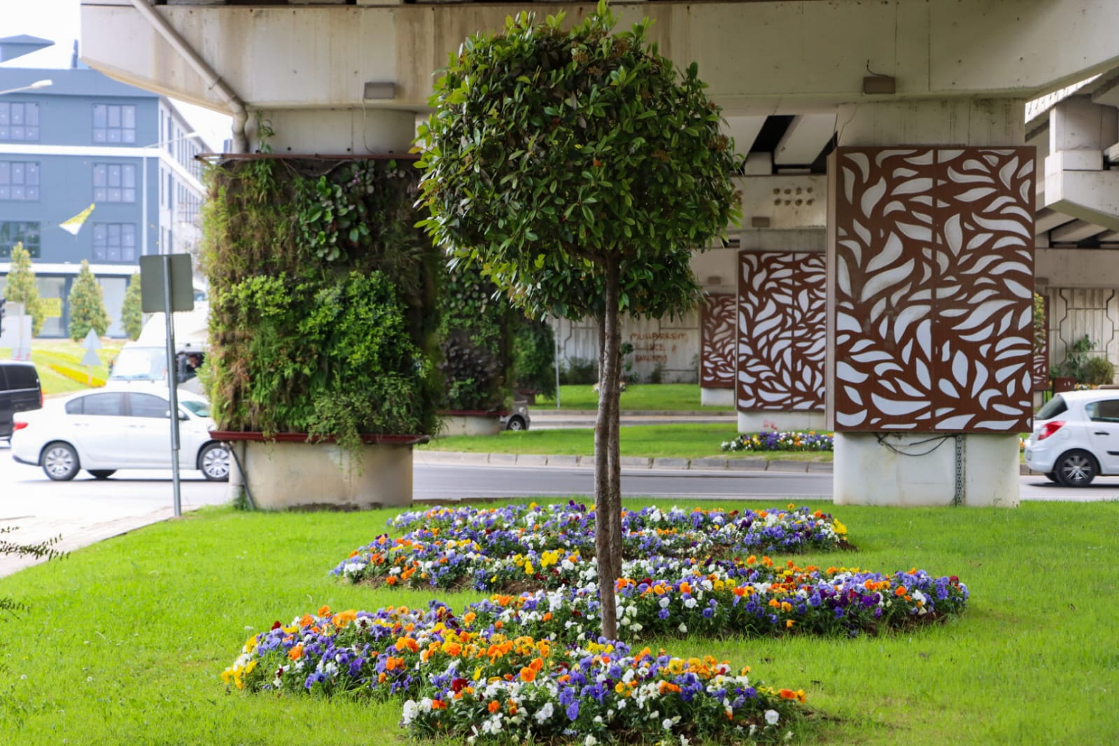 Çiçek Yalova (6)