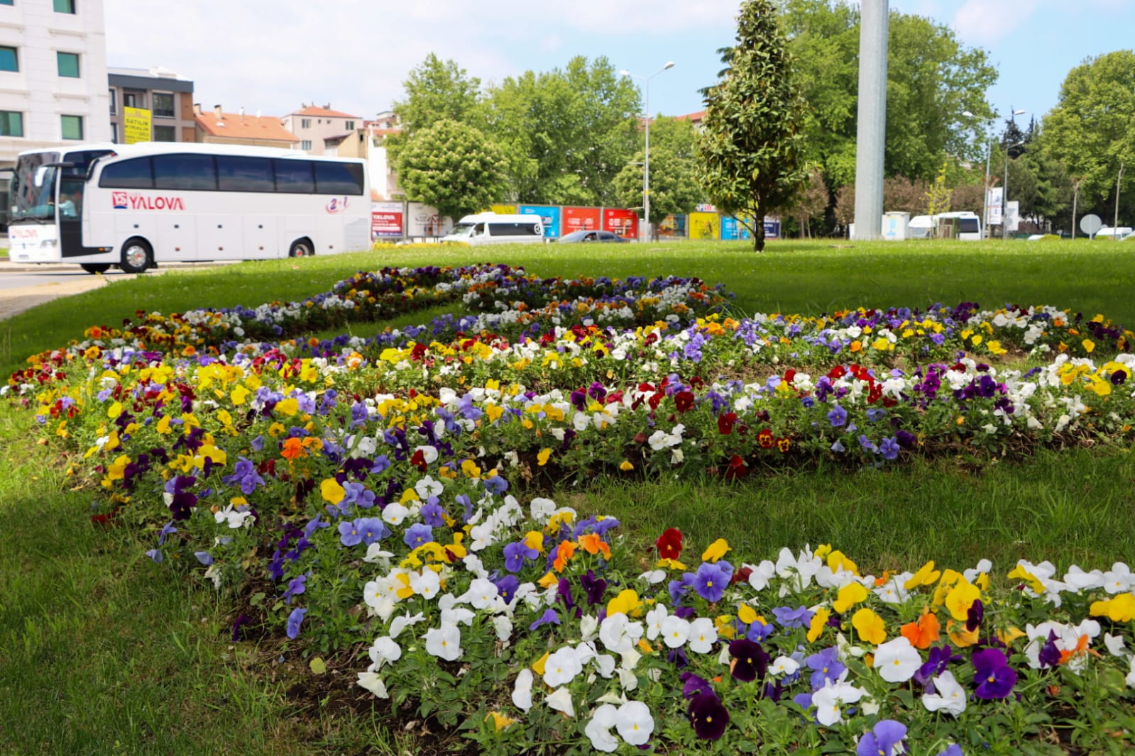 Çiçek Yalova (8)