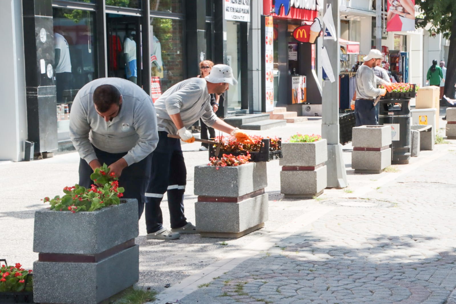 Gazi̇paşa Çi̇çek (2)