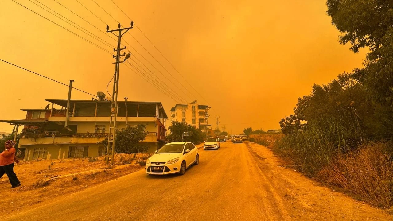Hatay'da Orman Yangını1