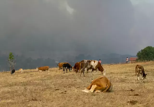 Karabuk Te Orman Yangini 4 Gununde Siddetlendi 18887333 3522 M