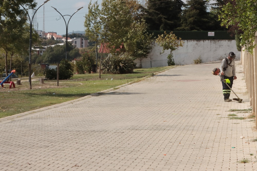 Park Bahçe (3)