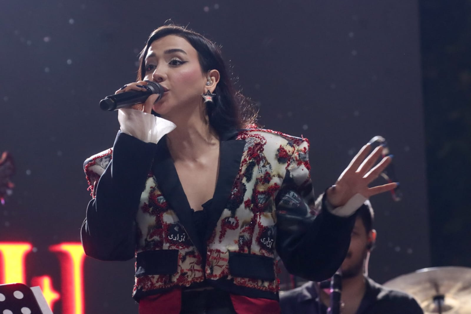 30 Ağustos Konser (22)