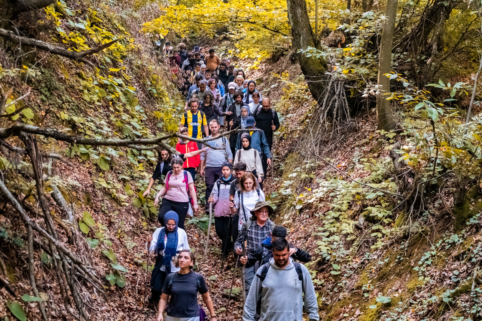 Doğa Yürüyüşü (10)
