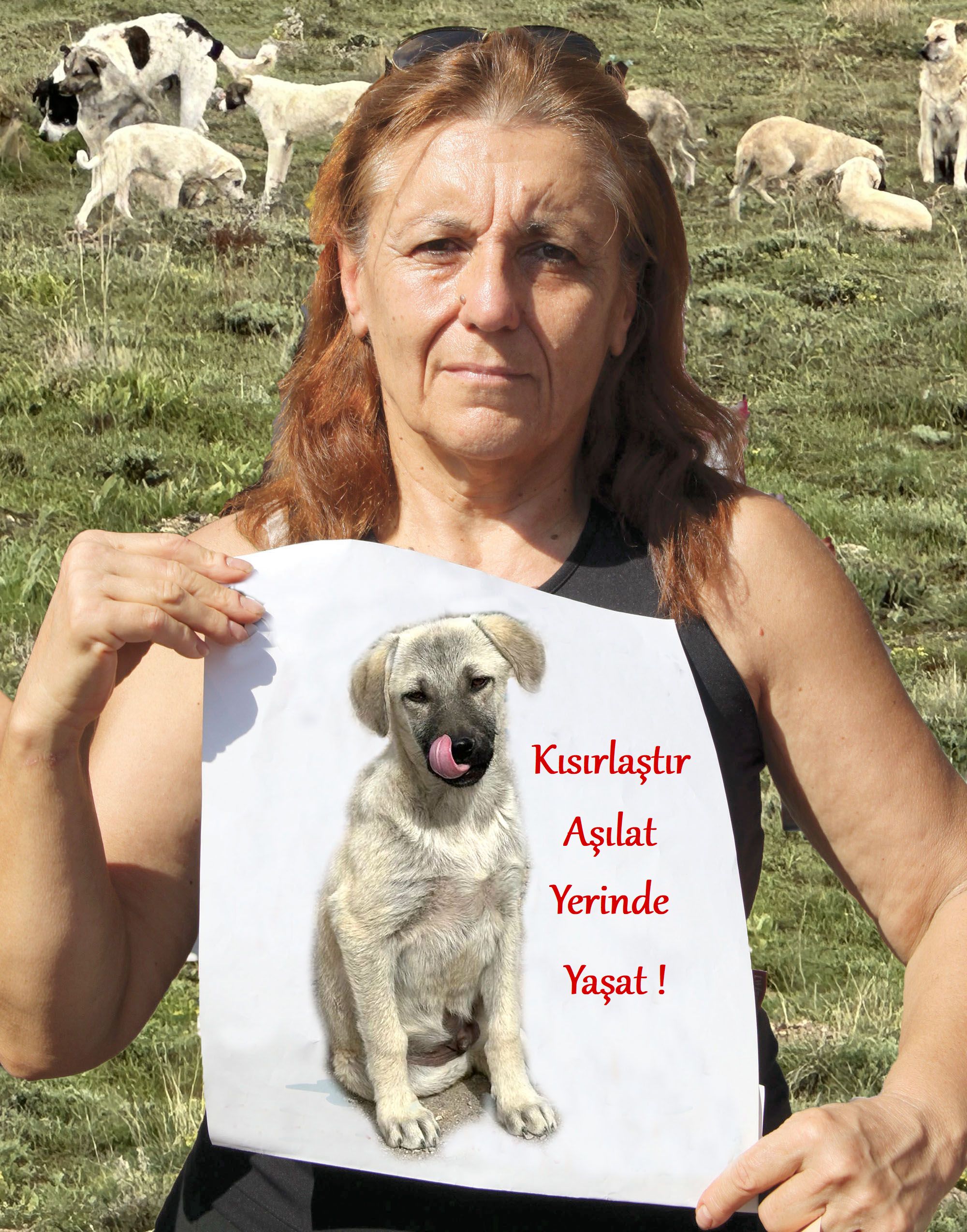 Foto1 (2)-1