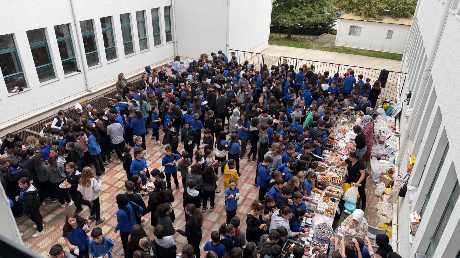 Kermes8