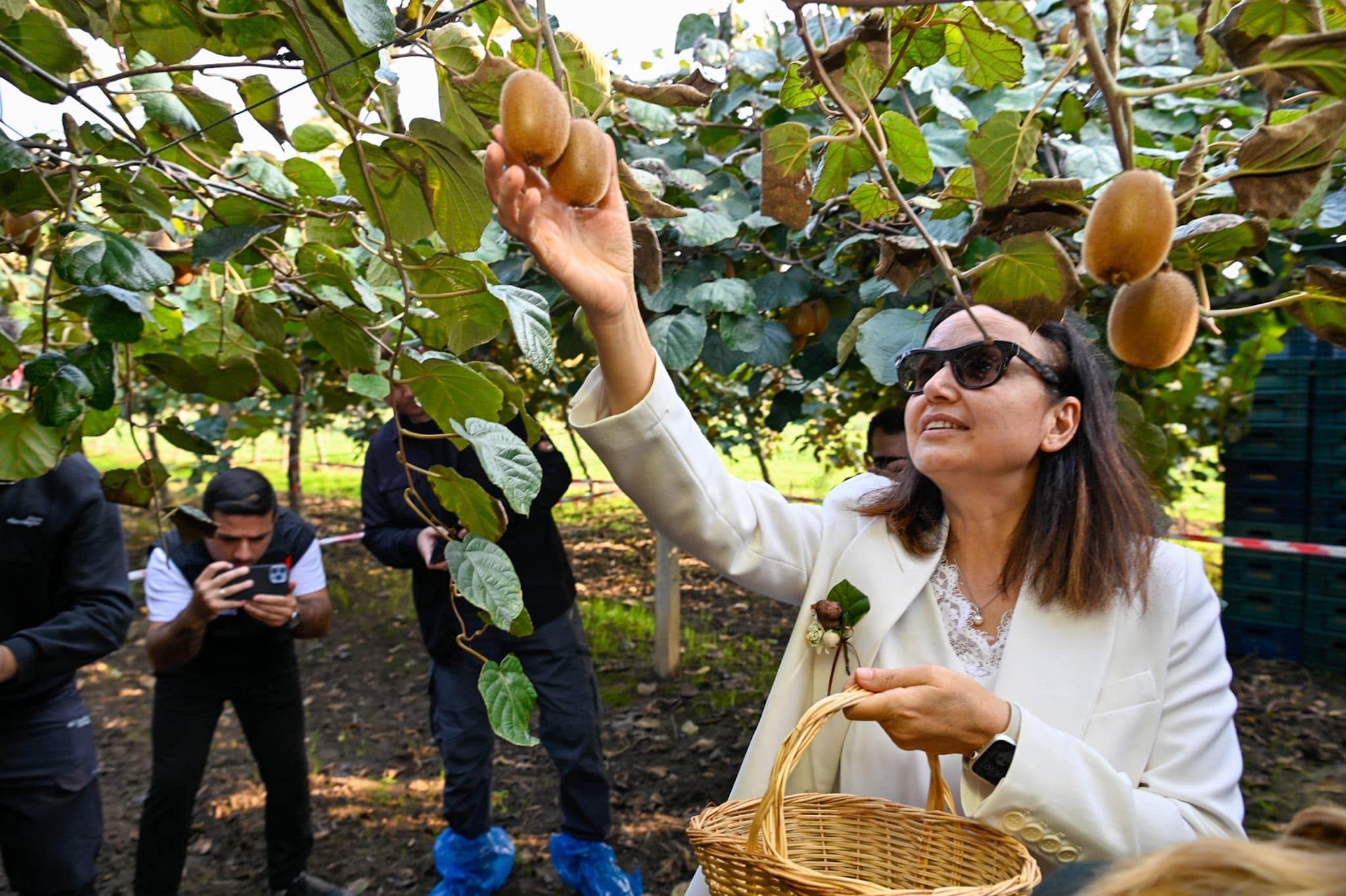 F B I M G 1762602807561