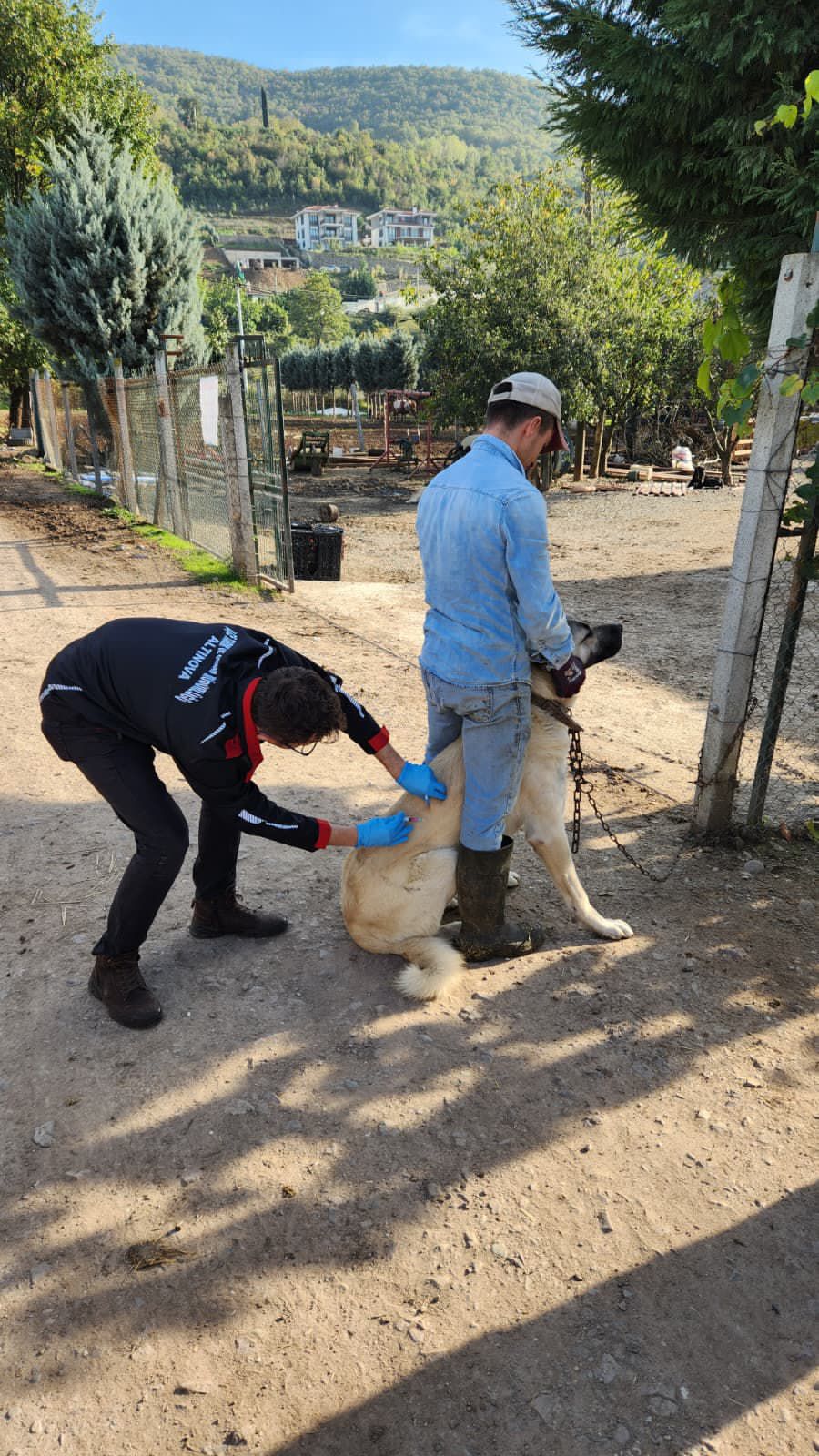 I M G 20251101 W A0002