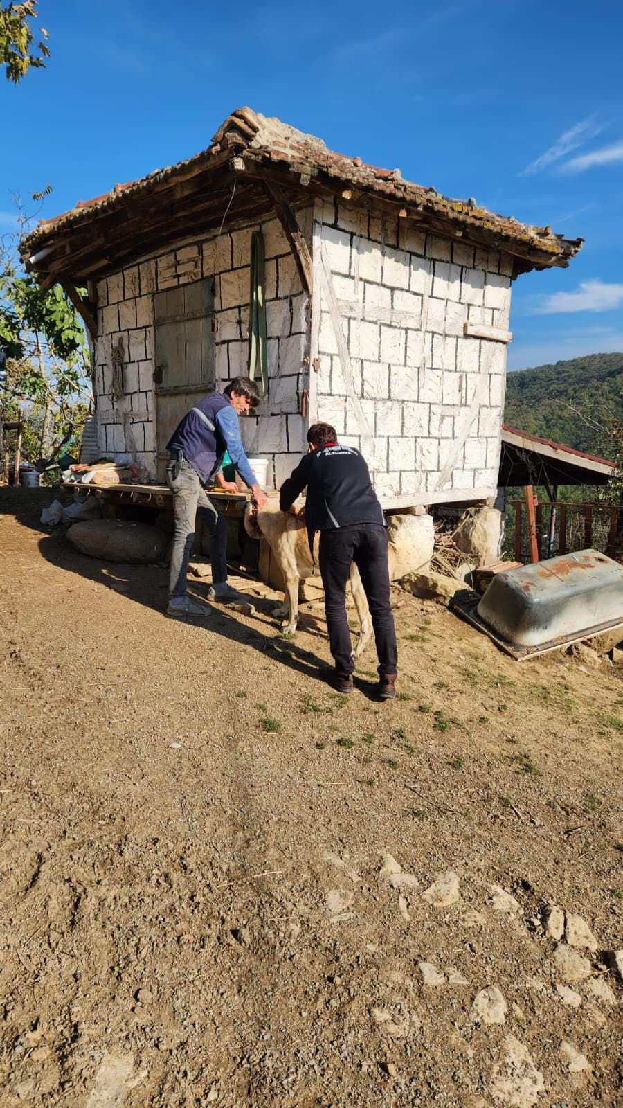 I M G 20251101 W A0003