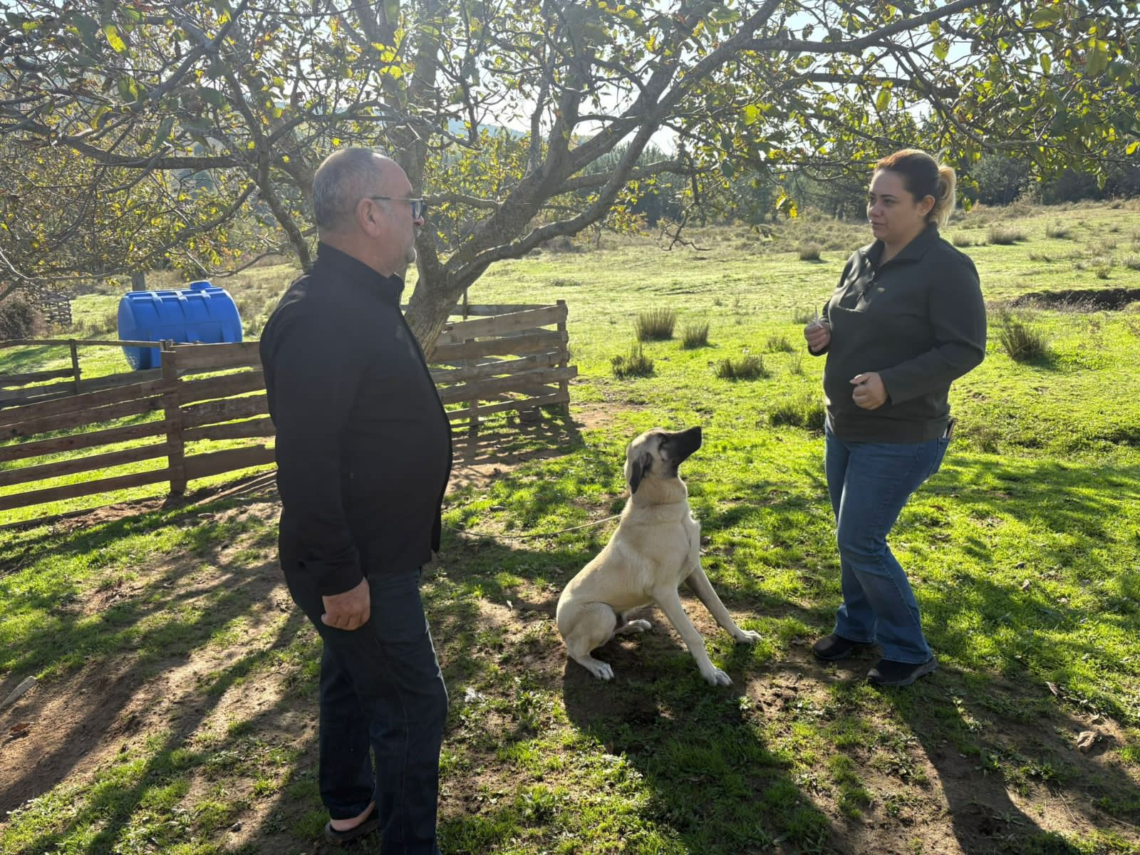 I M G 20251101 W A0004