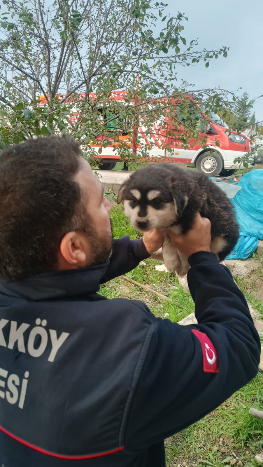 I M G 20251108 W A0016