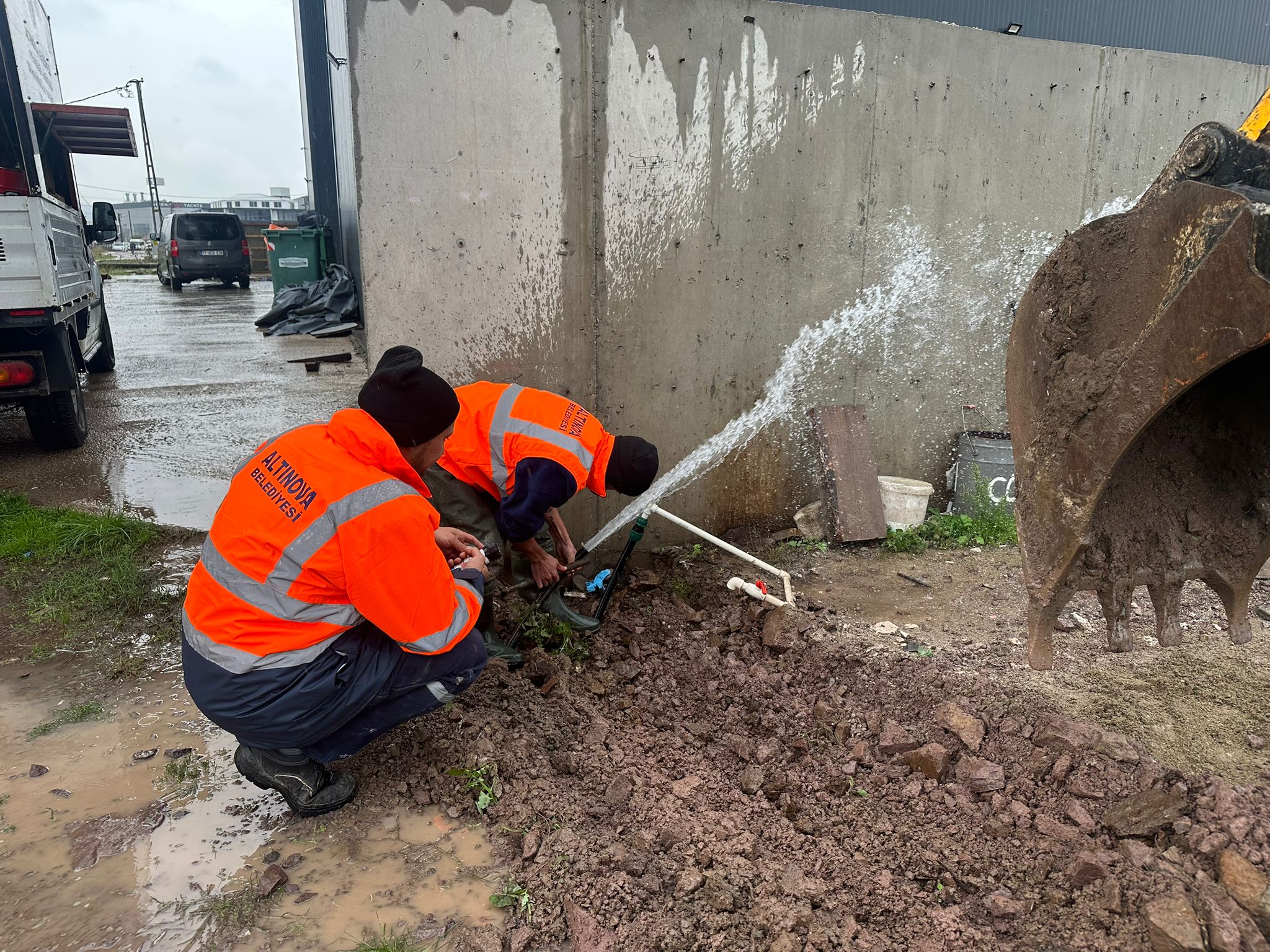 I M G 20251112 W A0017