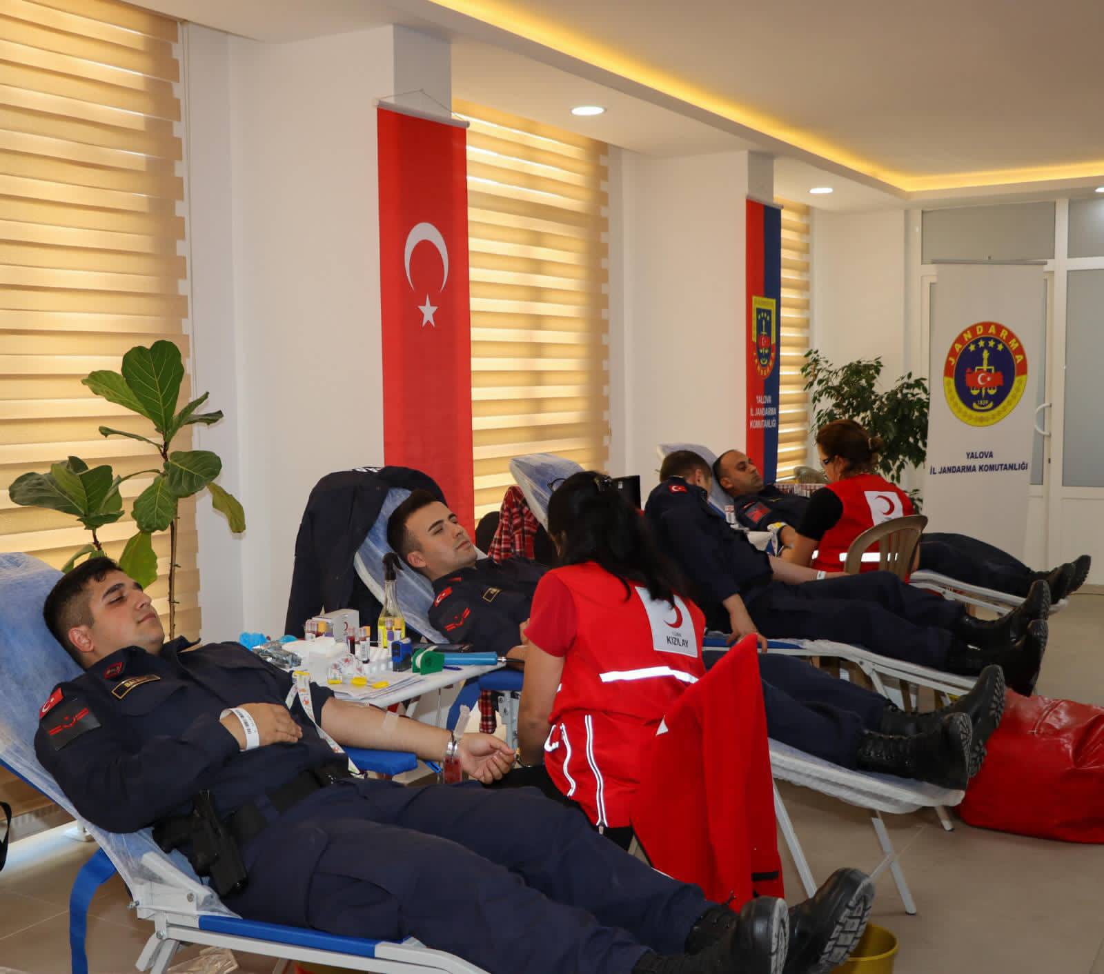 I M G 20251114 W A0005