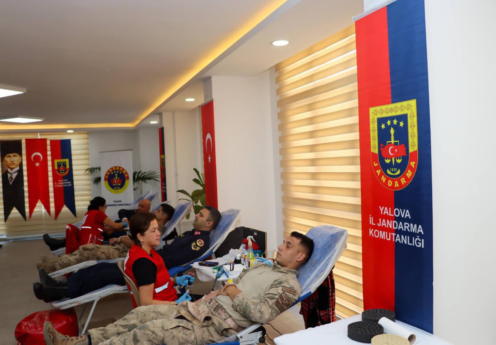 I M G 20251114 W A0006