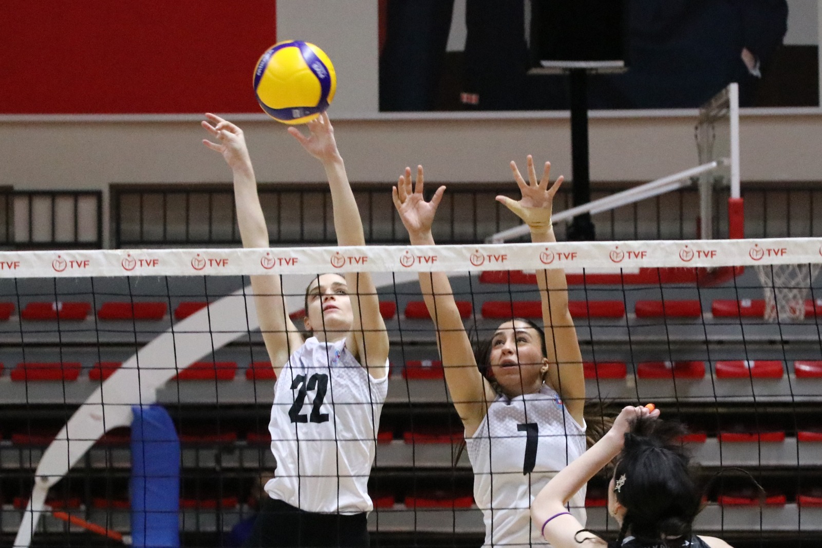 I M G 20251117 W A0015