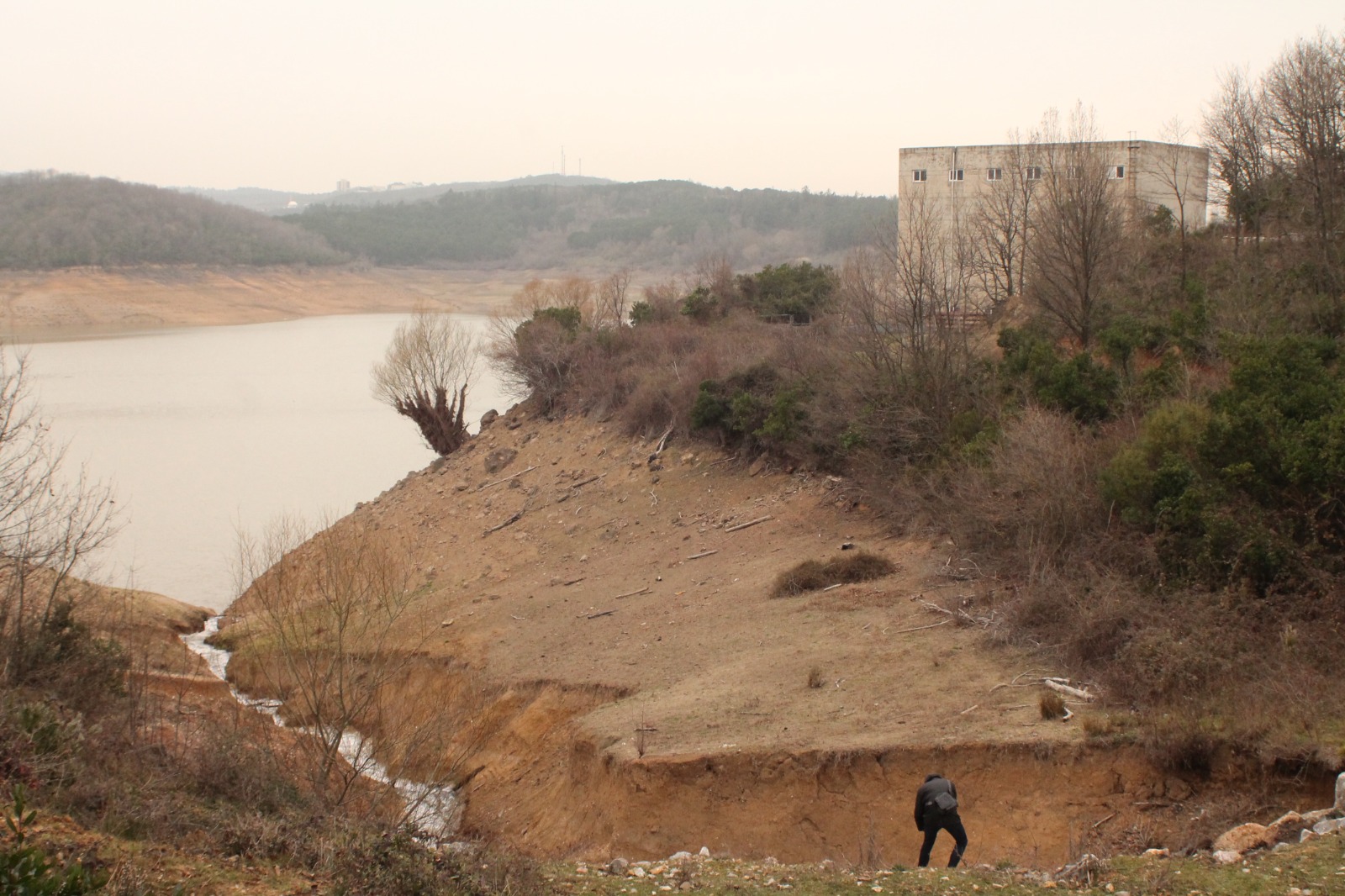 I M G 20251121 W A0007