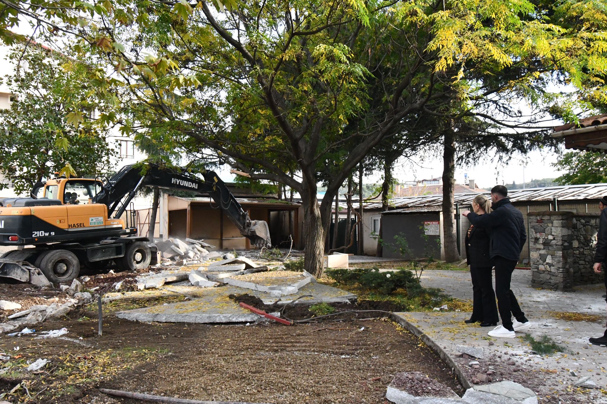 I M G 20251126 W A0034