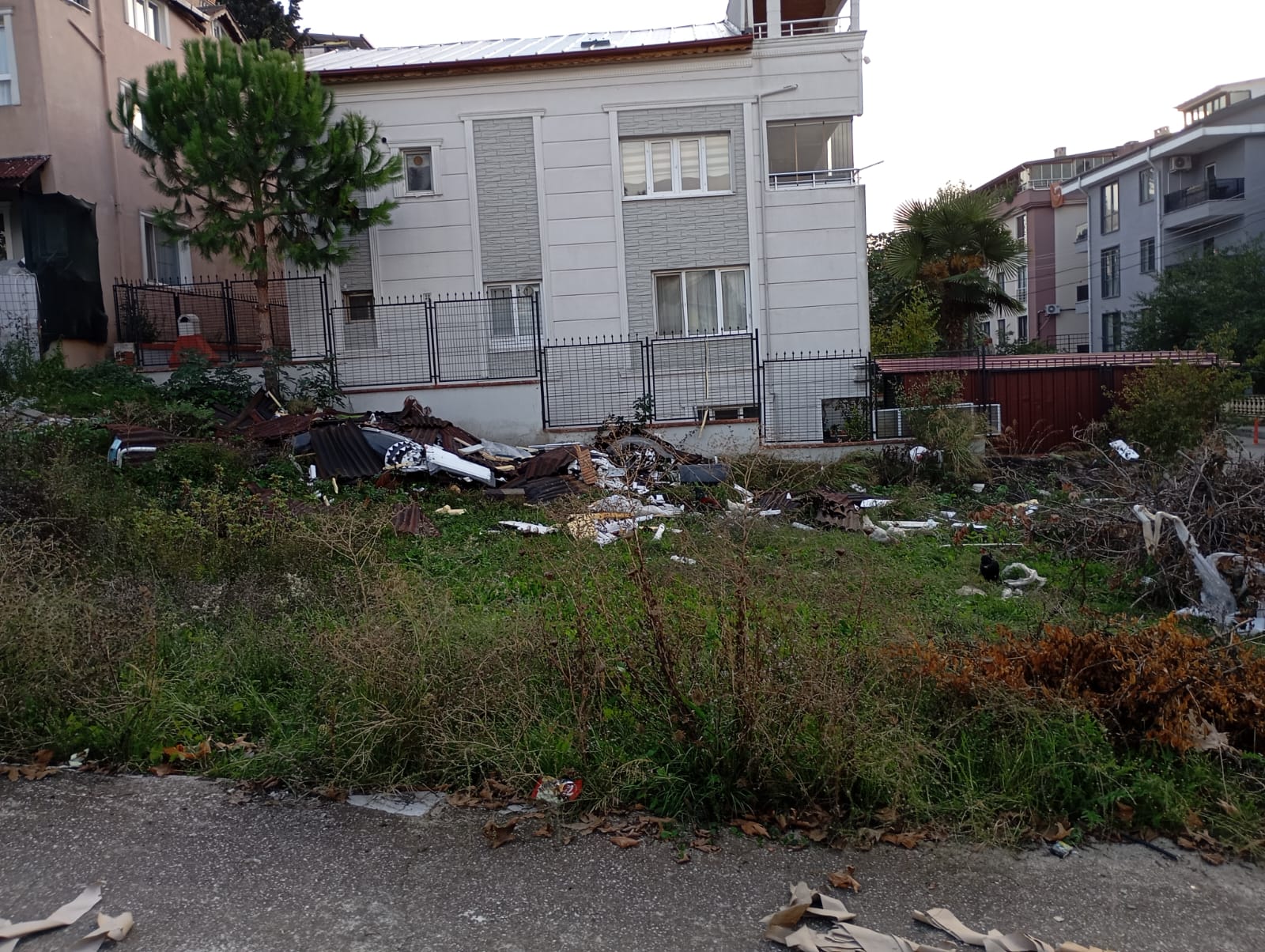 I M G 20251126 W A0084